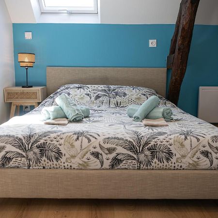 La Belle Rive Du Voyageur Apartman Bellerive-sur-Allier Kültér fotó