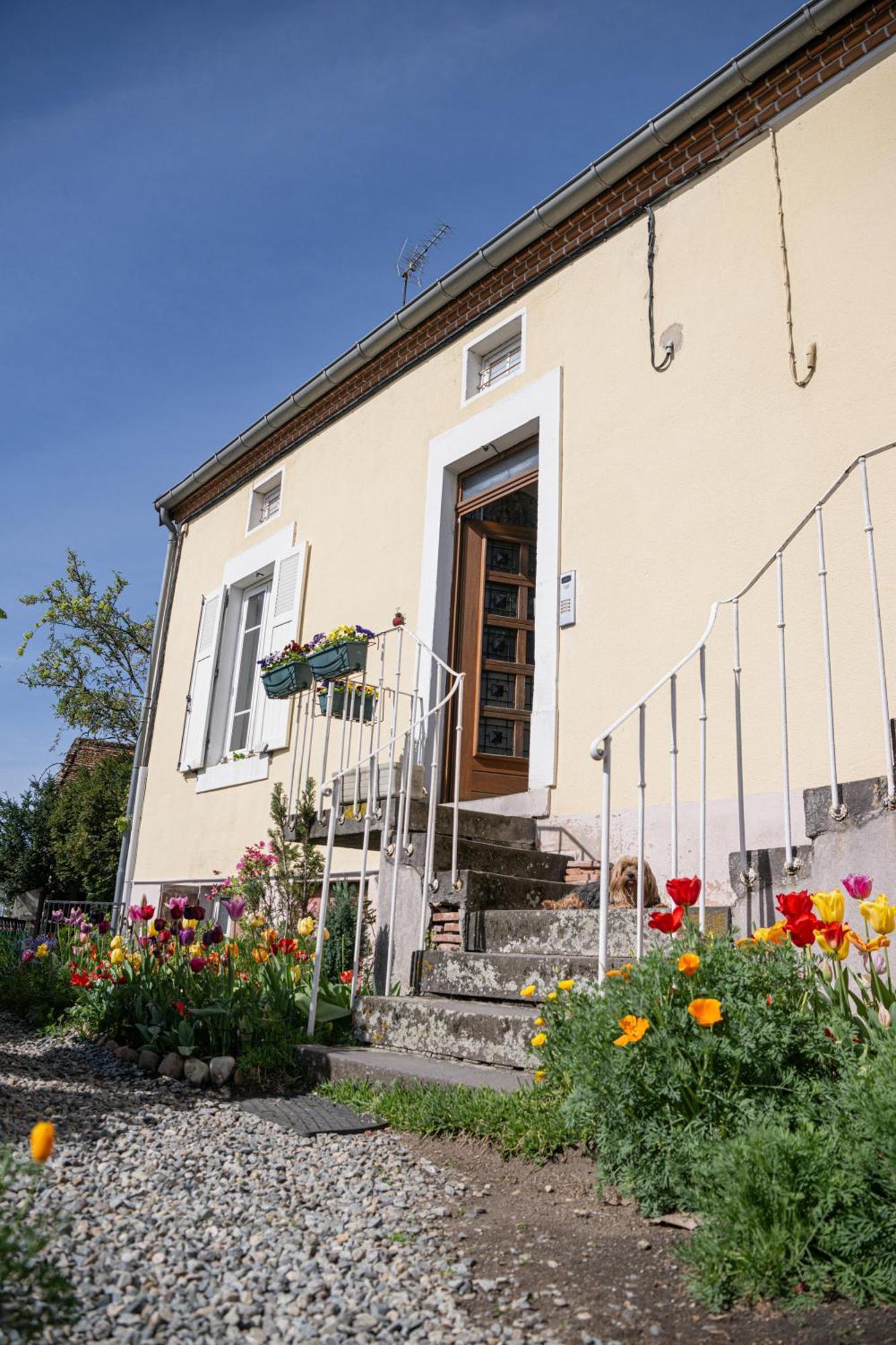 La Belle Rive Du Voyageur Apartman Bellerive-sur-Allier Kültér fotó